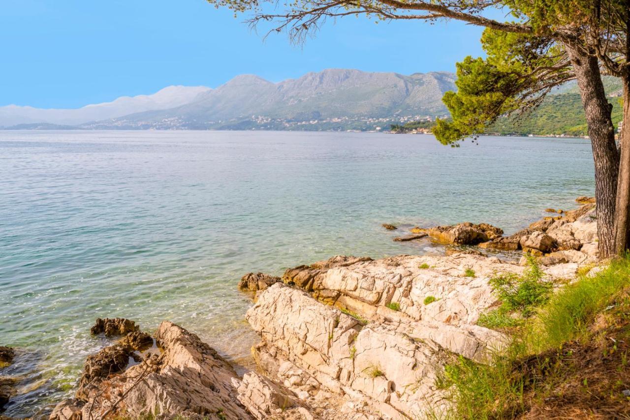 Apartment - Panoramic Sea View Cavtat