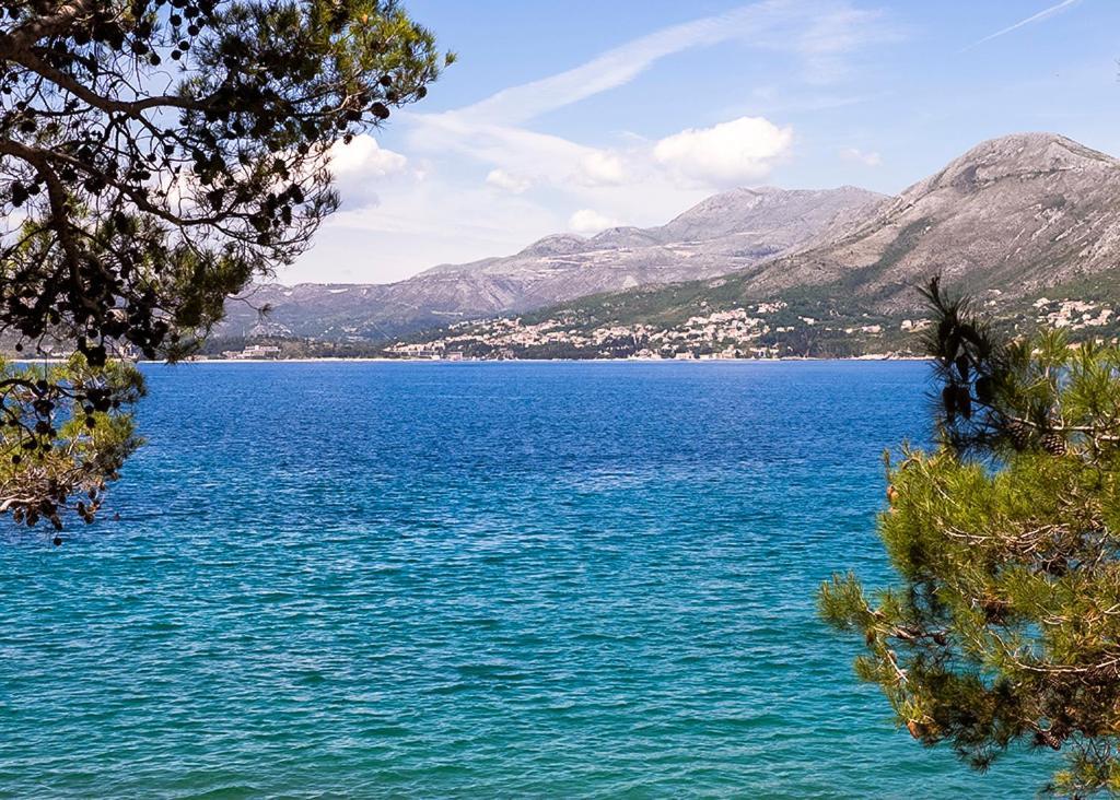 Apartment - Panoramic Sea View